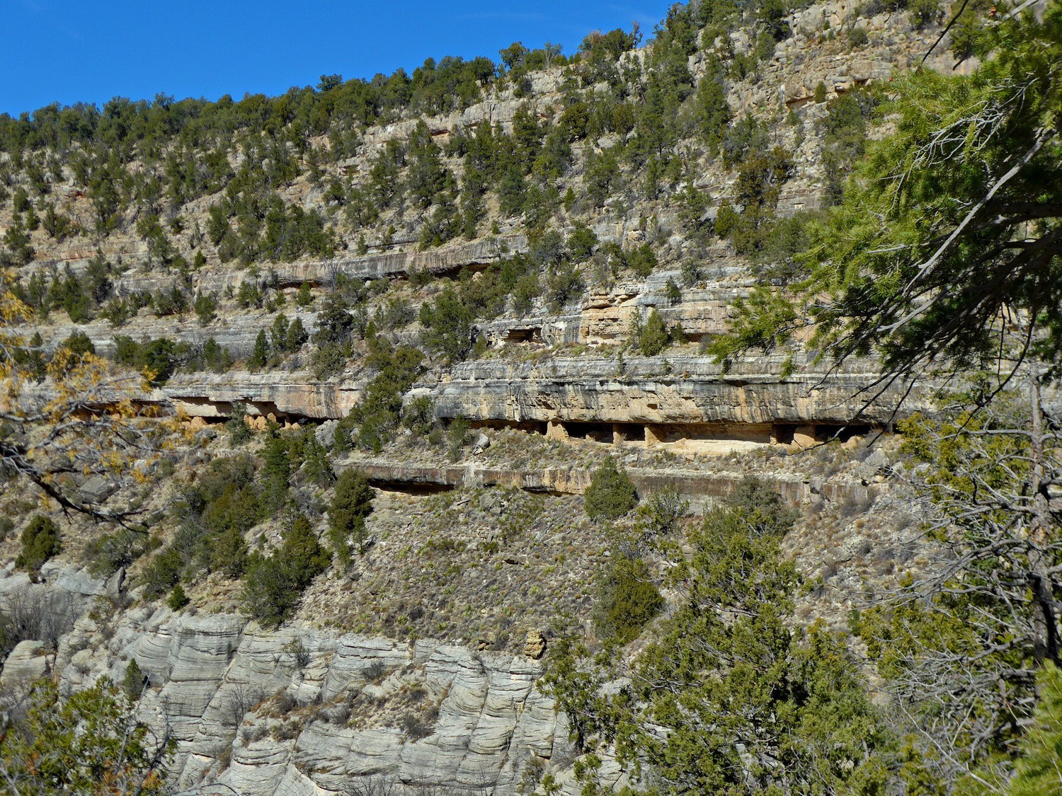 Cliff dwellings in the Walnut Canyon